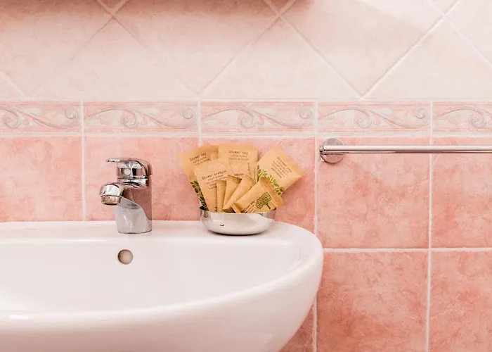 酒店 莉迪亚酒店 切尔维亚