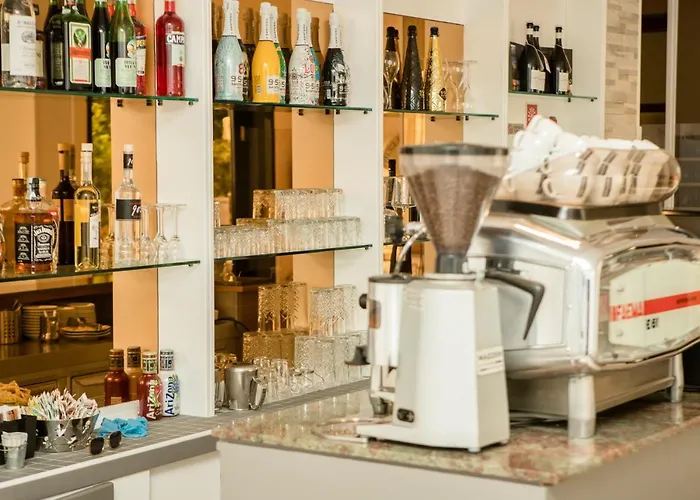 莉迪亚酒店 酒店 3*